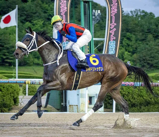 佐賀皐月賞でサキドリトッケンが１着（佐賀県競馬組合提供）